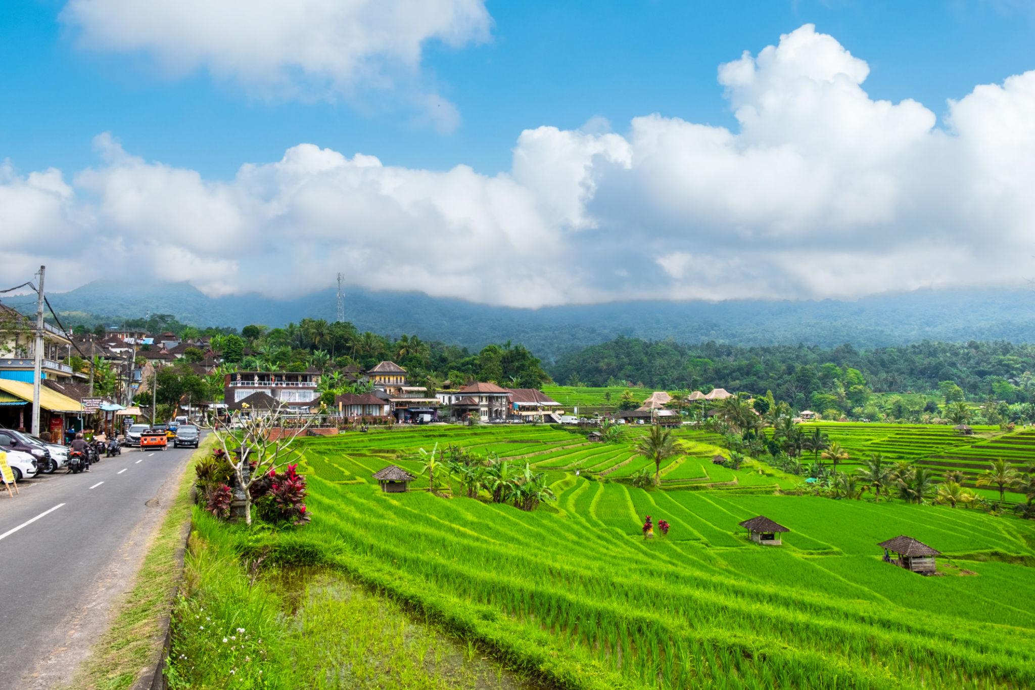 Bali Countryside